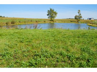 Property photo 3 - 80 +/- Acres Offered in 6 Tracts - Spectacular Farm & Home